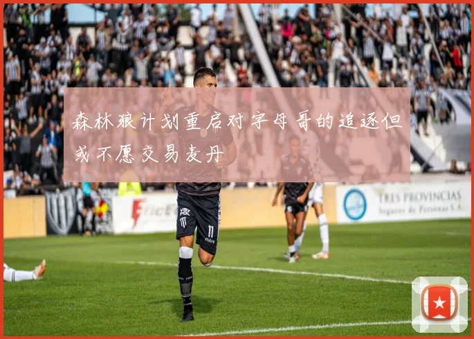森林狼计划重启对字母哥的追逐但或不愿交易麦丹